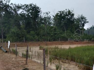 [Tanah Pertanian] Kg Berangan/Kg Pesagi Mukim Chenor Marang Pahang
