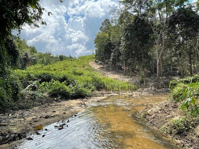 Tanah Status Dusun Tepi Anak Sungai Jelebu