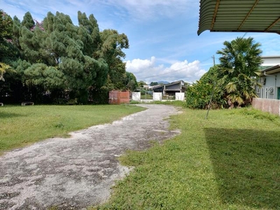 Tigerlane Freehold Big Bungalow Land with house (FOR SALE)