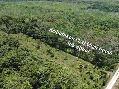 Tanah untuk dijual di Kuala Sungai Baru sesuaian untuk Rumah Kediaman