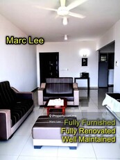 Fully Furnished, Fully Renovated, View to Offer, Well Maintained
