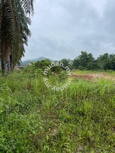 10.4 acres land for sell, behind kim ma trading, kemayan