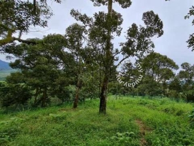 1.3 acres Agricultural Land in Orchard Heights (Karak Seri Telemong)
