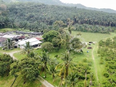 17.82004 acres Agricultural Land at Temoh, Perak