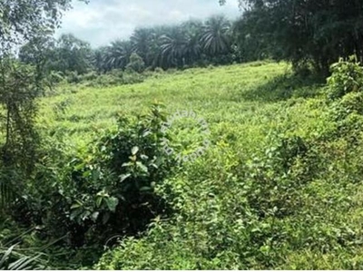 6 acre Agriculture Land in Rantau for sale