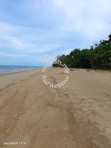 37 acres Freehold Seaside Land With Tar Road Pantai Nenasi, Pekan