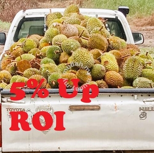Bentong Karak Batu 7 ROI 5% durian trees Mukim Sabai