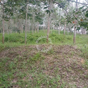 Freehold Agriculture Land For Sale At Kepis,Bahau,Kuala Pilah,N.S