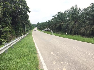 Freehold Zone Industry Land For Sale At Rompin,Bahau,Kuala Pilah,N.S.