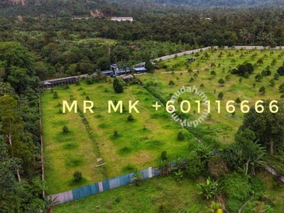 Freehold Non Bumi Lot 6.3 Acres Land For Sale Mantin N.Sembilan