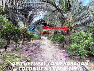 KARANGAN KULIM AGRICULTURAL LAND Received ROAD COCONUT LIME & YUZU
