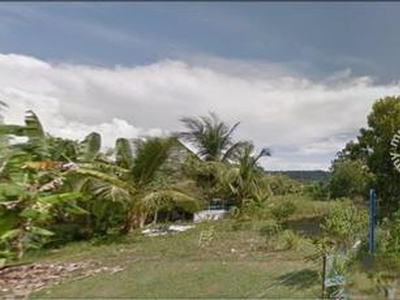 Kedah Kuala Muda Bandar SP Palm Oil Land Zoning Mix Deverlope FOR SALE