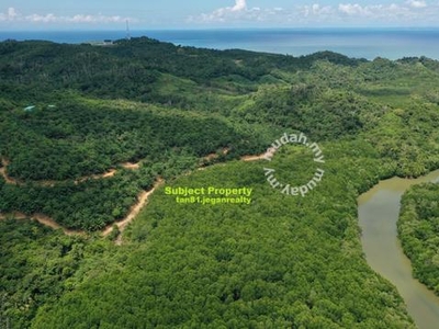 Kudat (Mangrove Riverside) Palm Oil Land NT60ac ((( FOR SALE )))