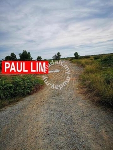 Land at BEDONG 98.95 acre FREE hold 65% RESIDENTIAL 35% AGRICULTURAL