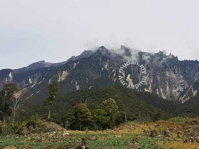 Lot Tanah NT Kg Montoki, Kundasang sejuk gunung kinabalu view