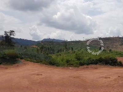Pahang Rompin Keratong 2002 Acres Empty Land for SALE