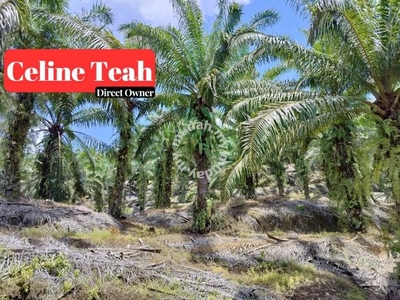 Palm Oil Land | Lahad Datu Ulu Segama | CL Title | For Sale