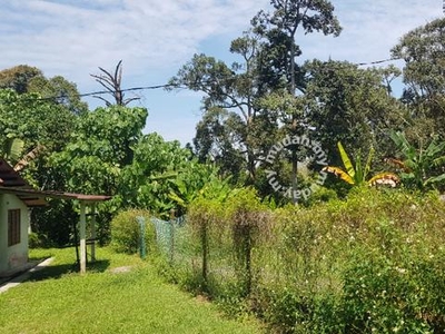 Tanah 1 ekar Separa Dusun Sesuai Buat Rumah di Mantin-Nilai