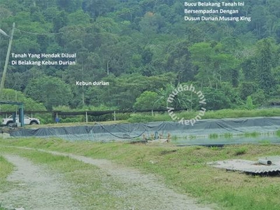 Tanah 2.75 Ekar Berhampiran Hutan Rekreasi Ulu Bendul, Kuala Pilah