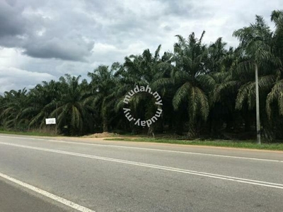 Tanah 5 ekar utk disewa: Sg Mai, Jenderak, Temerloh, Pahang