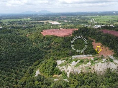 Tanah Freehold 16 ekar Non Bumi Mukim Pinang Tunggal , Sg Petani