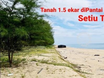 Tanah cantik diPantai Penarik Setiu Terengganu