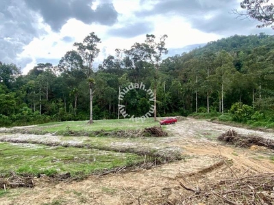 Tanah Dusun Murah di Kedah