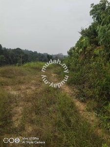 6.6 acre Non Bumi Agricultural Land Lot No2 from main road