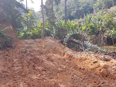 Tanah 3 Ekar Untuk Pertanian di Ulu Klawang Daerah Jelebu