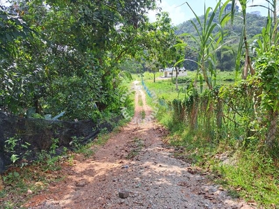 Tanah Pertanian di Tampin