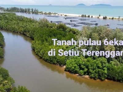 Tanah pulau di Setiu Wetland kg Pengkalan Gelap Setiu Terengganu