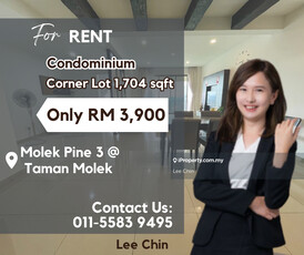 Molek pine 3 apartment fully furnished corner unit for sale