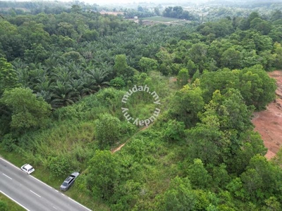 Agriculture Land Gurun Area Besides Mainroad Unit For Sale