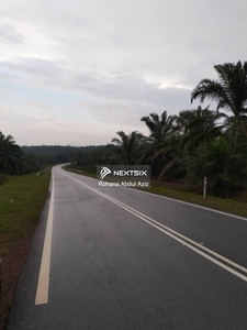 Tanah International Jementah Segamat Johor