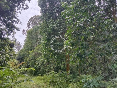 Tanah Kebun Duku Dan Durian Di Kampung Buluh Hulu Terengganu