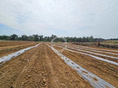TURUN HARGA ❗ Tanah Pertanian 6 EKAR di Kg Batu Sawar, Sg Lembing