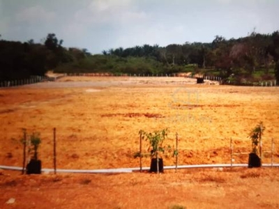 Tanah Pertanian Serta Kandang Kambing Utk Disewa di Rembau N9