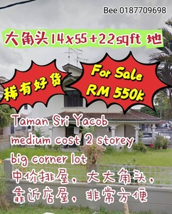 Taman Tan Sri Yacob Nusa Bestari 2 Storey Medium Cost Big Corner Renovate Below Market Price