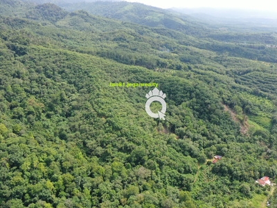 TENOM LAGUD SMALL HILL ( VACANT) AGRICULTURE LAND CL30ACS